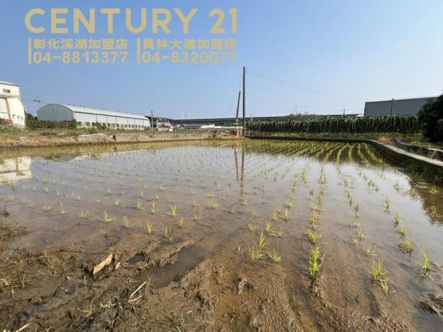 新生段, Beidou Township, Changhua County 521, Taiwán