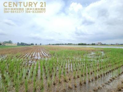 外竹段, Erlin Township, Changhua County 526, 台湾