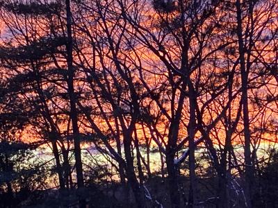 7795 Fieldstone RIdge, Clarkston, Michigan 48348, USA