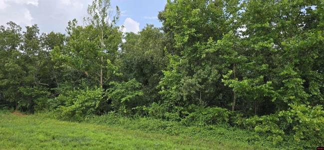 001-05384-002 HWY 62/412 WEST, Yellville, 阿肯色州 72687, 美國