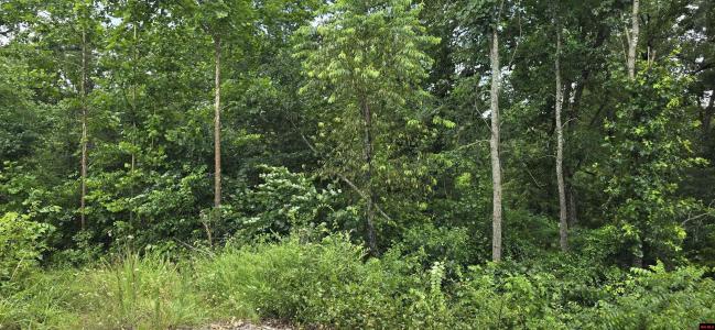 001-05384-002 HWY 62/412 WEST, Yellville, 阿肯色州 72687, 美國