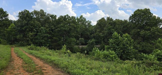 001-05384-002 HWY 62/412 WEST, Yellville, 阿肯色州 72687, 美國