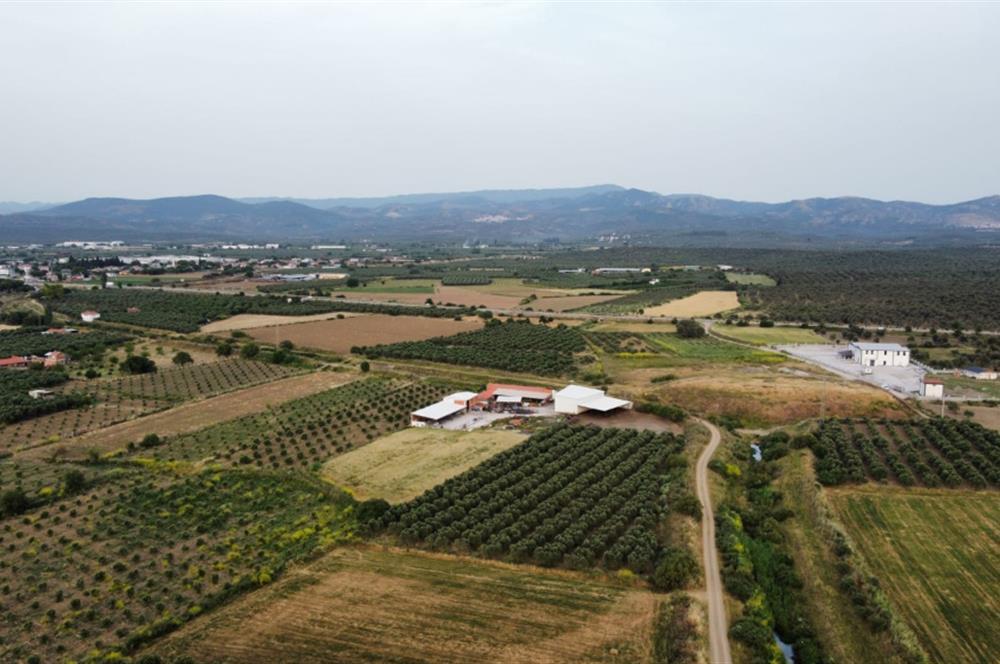 Balıkesir, Turquia
