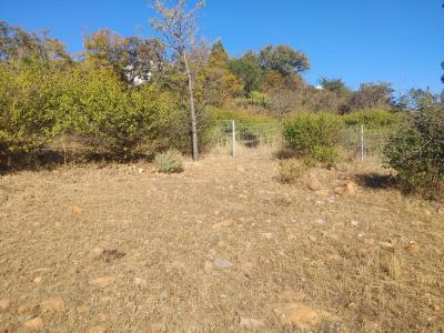 Pretoria, Gauteng, 남아프리카
