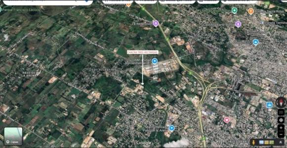 Paso De La Arena, Montevideo 12600, 乌拉圭