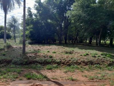 Paso de Patria calle Ypane - Thompson sin numero, Ypané, Central 00001, Paraguay