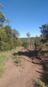 Pirebebuy, Cordillera 00001, Paraguay