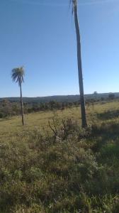 Paraguarí, Paraguarí 00001, Paraguai