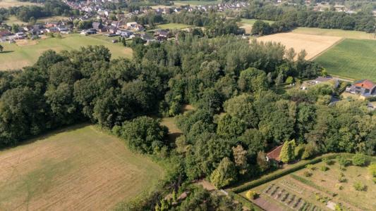 Goreweg 48, Begijnendijk, 3130, Бельгия