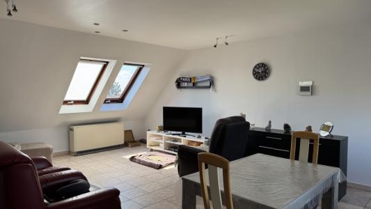 Rue Jean Volders 36 31, Frameries, 7080, Belgium