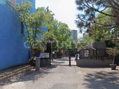 Retorno de Crisantemo 47 casa A,, Alvaro Obregón, Ciudad De México 01780, México