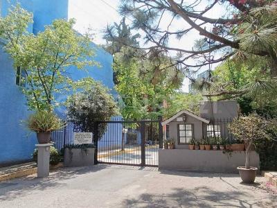 Retorno de Crisantemo 47 casa A,, Alvaro Obregón, Ciudad De México 01780, Mexico