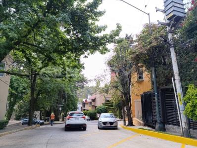 Retorno de Crisantemo 47 casa A,, Alvaro Obregón, Ciudad De México 01780, Mexico