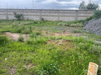 CALLE JARDÍN LAGUNA LOTE 9 LOTE 10,, Guadalupe, Zacetecas 98604, México