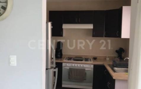 paseo de san gerardo s/n,, Aguascalientes, Aguascalientes 20342, Messico