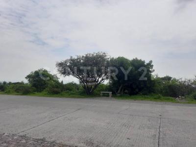 El zapote s/n,, Huichapan, Hidalgo 42430, Meksyk
