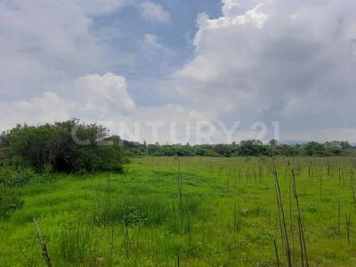 El zapote s/n,, Huichapan, Hidalgo 42430, Meksyk