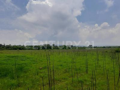 El zapote s/n,, Huichapan, Hidalgo 42430, Meksyk