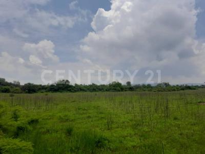 El zapote s/n,, Huichapan, Hidalgo 42430, Meksyk