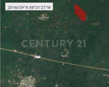 SN 1056,, Dzitas, Yucatán 97660, México