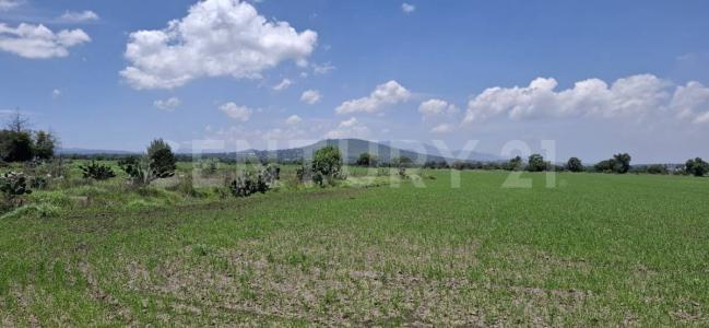 Villa De Tezontepec, 伊达尔戈 43880, 墨西哥