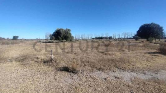 San Rafael, Mendoza 5600, Argentina