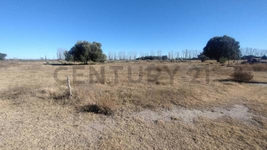 San Rafael, Mendoza 5600, Argentina