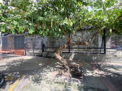 Caracas, Distrito Capital 1041, ベネズエラ