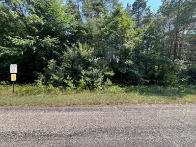 10951 Dobbyn Dr #51, Canadian Lakes, Michigan 49346, USA