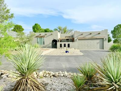 915 Fountain Drive, Carlsbad, NM 88220, USA