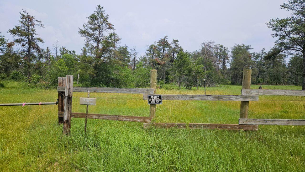 000 Witte Trail, Lovells, Michigan 49738, Estados Unidos