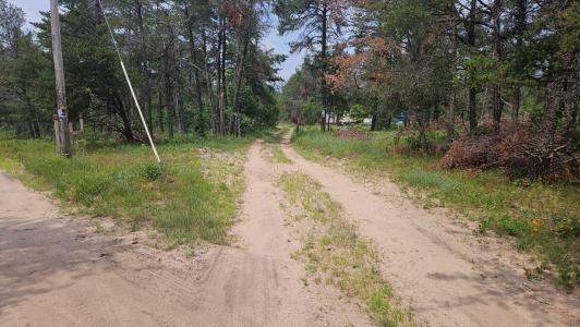 000 Witte Trail, Lovells, Michigan 49738, Estados Unidos