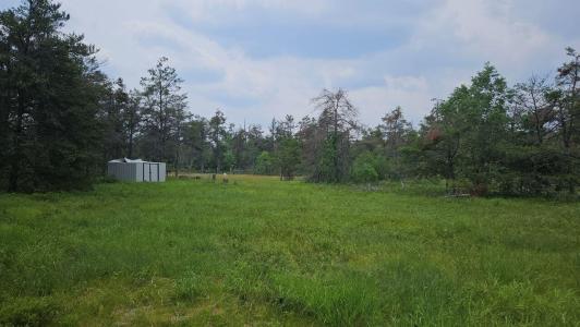 000 Witte Trail, Lovells, Michigan 49738, Estados Unidos