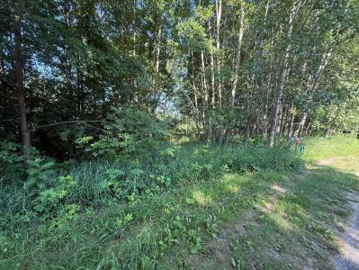 TBD W Royal Rd., Stanwood, Michigan 49346