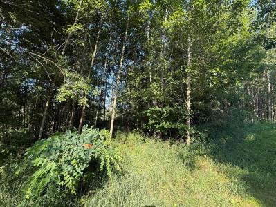 TBD W Royal Rd., Stanwood, Michigan 49346