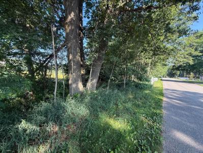 TBD W Royal Rd., Stanwood, Michigan 49346