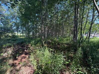 TBD W Royal Rd., Stanwood, Michigan 49346