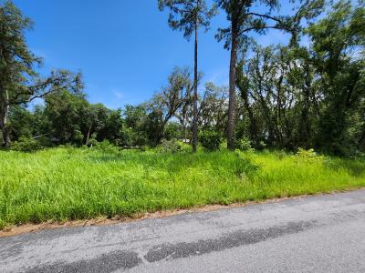 TBD Oak Lane Way, Ocala, Флорида 34472, Соединенные Штаты