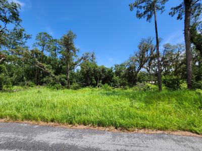 TBD Oak Lane Way, Ocala, Флорида 34472, Соединенные Штаты