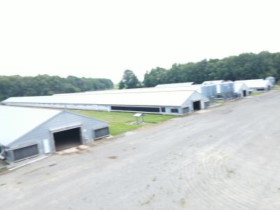 TBD WOODROW SCHOOL RD , Murfreesboro, Kuzey Karolina 27855, Amerika Birleşik Devletleri