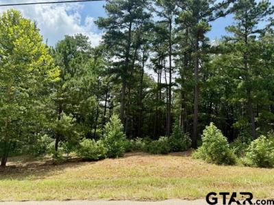 16203 CR 436, Lindale, Texas 75771, USA