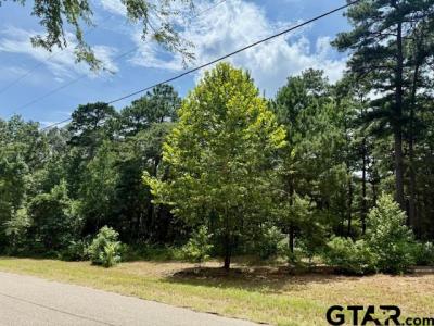 16203 CR 436, Lindale, Teksas 75771, USA