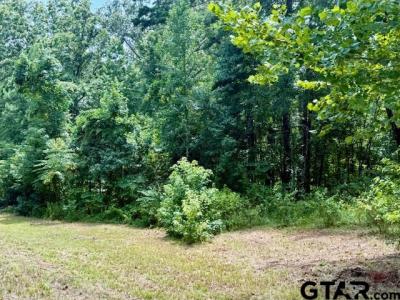 16203 CR 436, Lindale, Texas 75771, USA