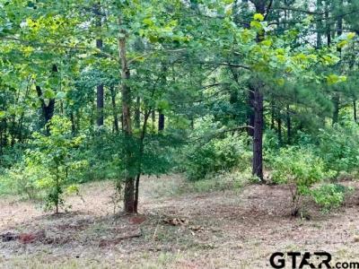 16203 CR 436, Lindale, Teksas 75771, USA
