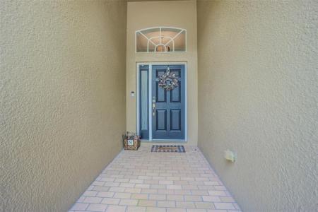 3132 Dunstable Drive, Land O Lakes, Florida 34638, Stati Uniti