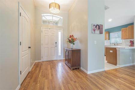 3132 Dunstable Drive, Land O Lakes, Florida 34638, Stati Uniti