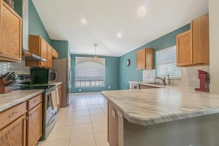 3132 Dunstable Drive, Land O Lakes, Florida 34638, Stati Uniti