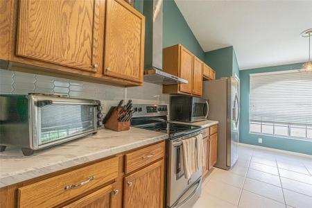 3132 Dunstable Drive, Land O Lakes, Florida 34638, Stati Uniti