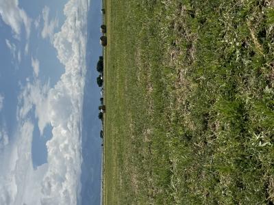 19993 County Road 59, Moffat, Colorado 81143, HOA KỲ