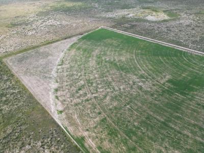 19993 County Road 59, Moffat, Colorado 81143, HOA KỲ